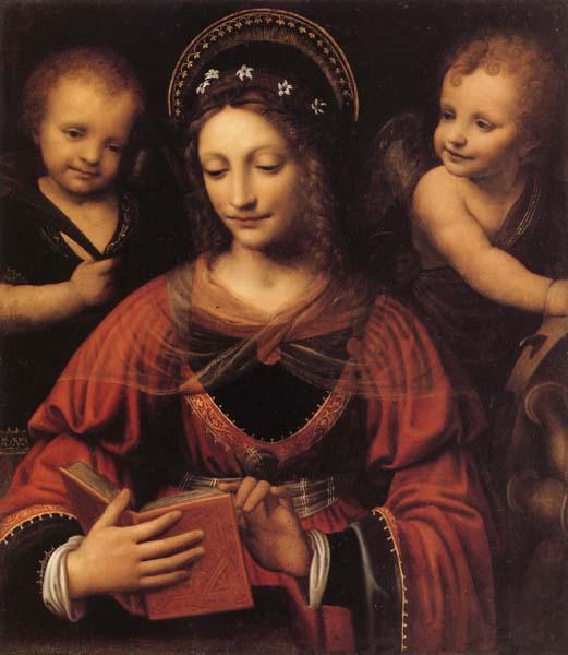 LUINI, Bernardino St.Catherine France oil painting art